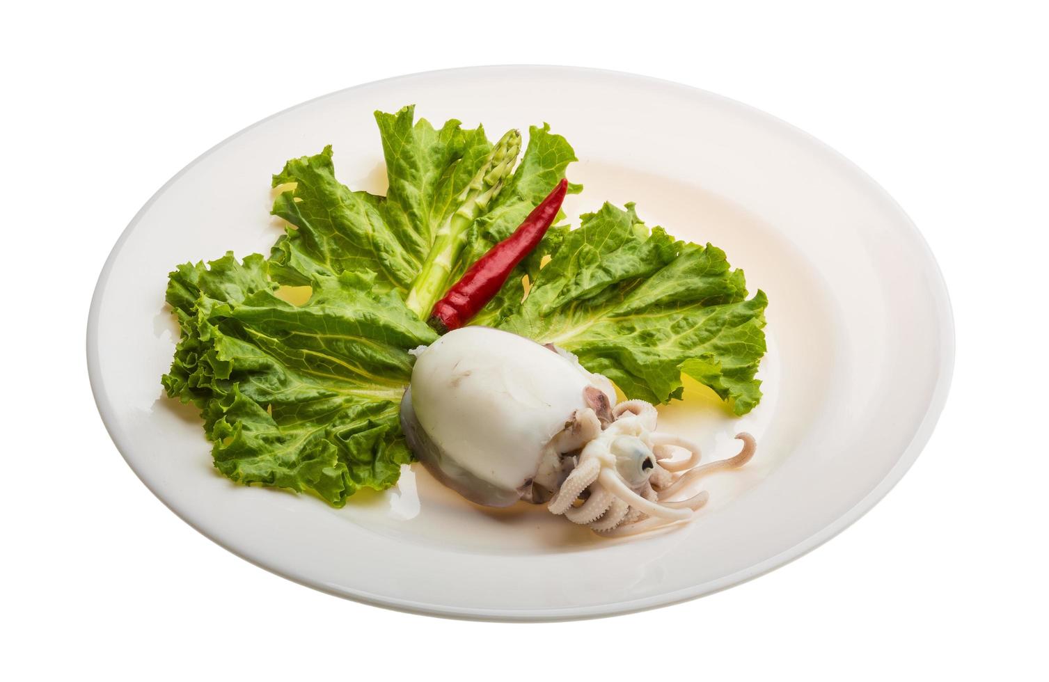 Boiled cuttlefish on white photo