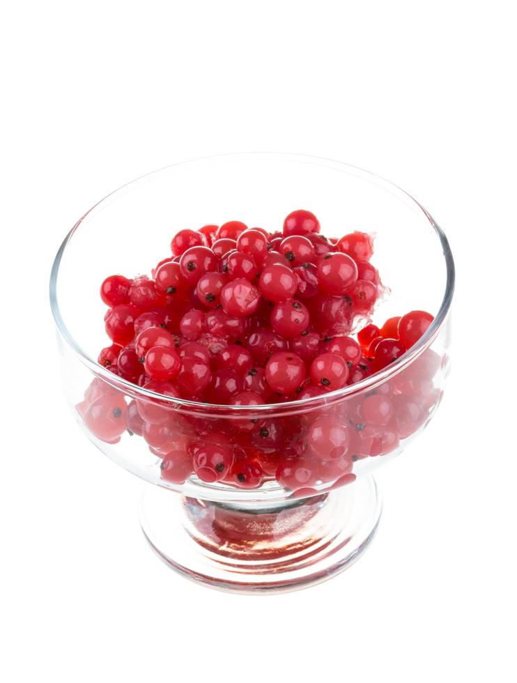 red currant on white photo