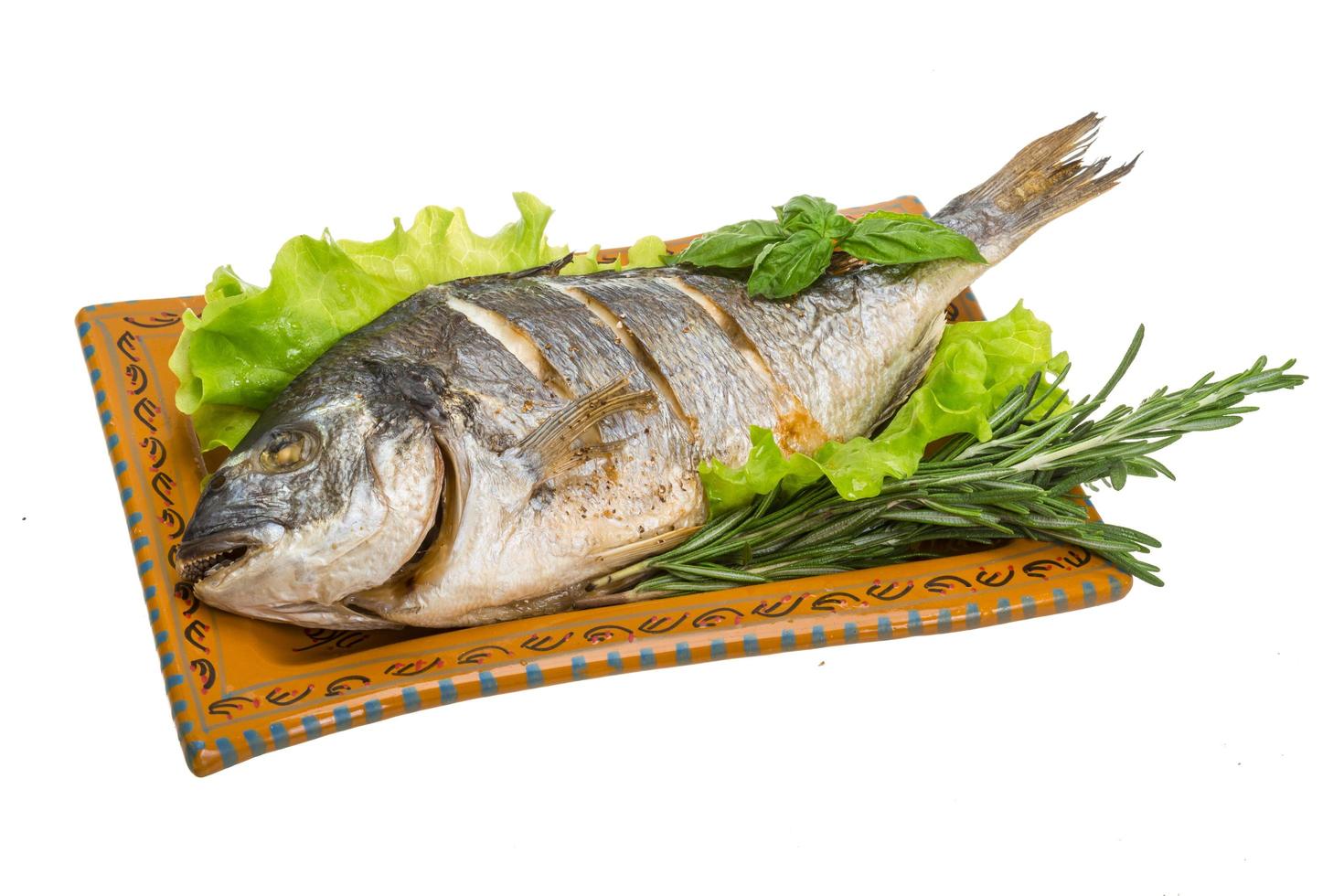 Grilled dorada dish view photo