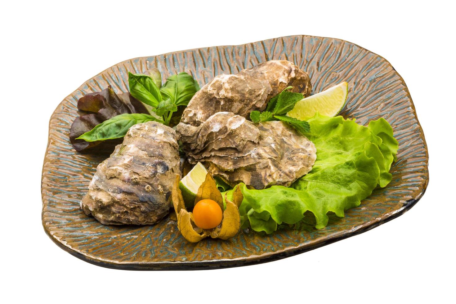 Fresh oyster on white photo