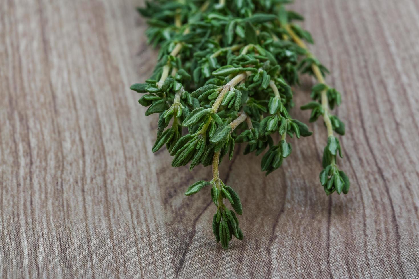 Thyme branch on wooden background photo