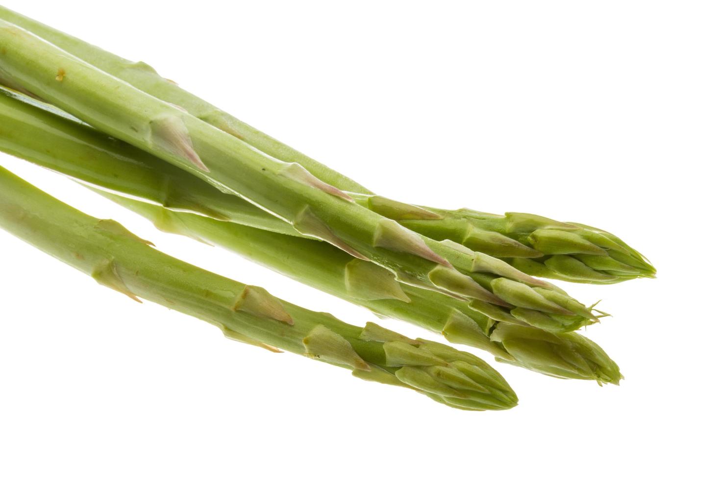 Raw asparagus on white photo