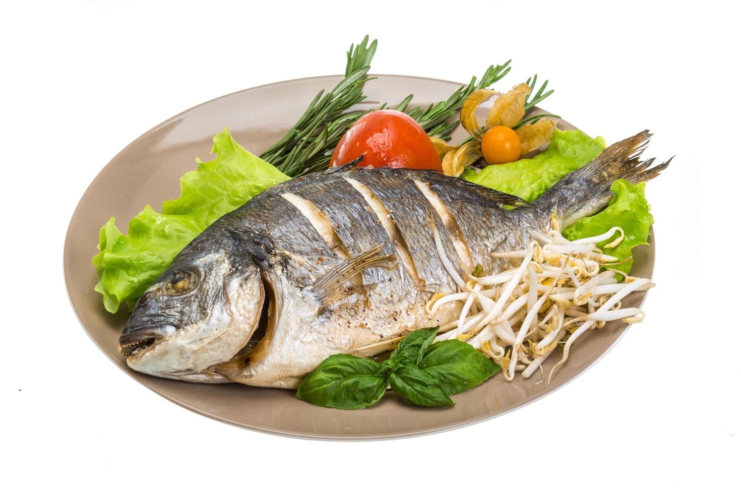 Grilled dorada dish view photo