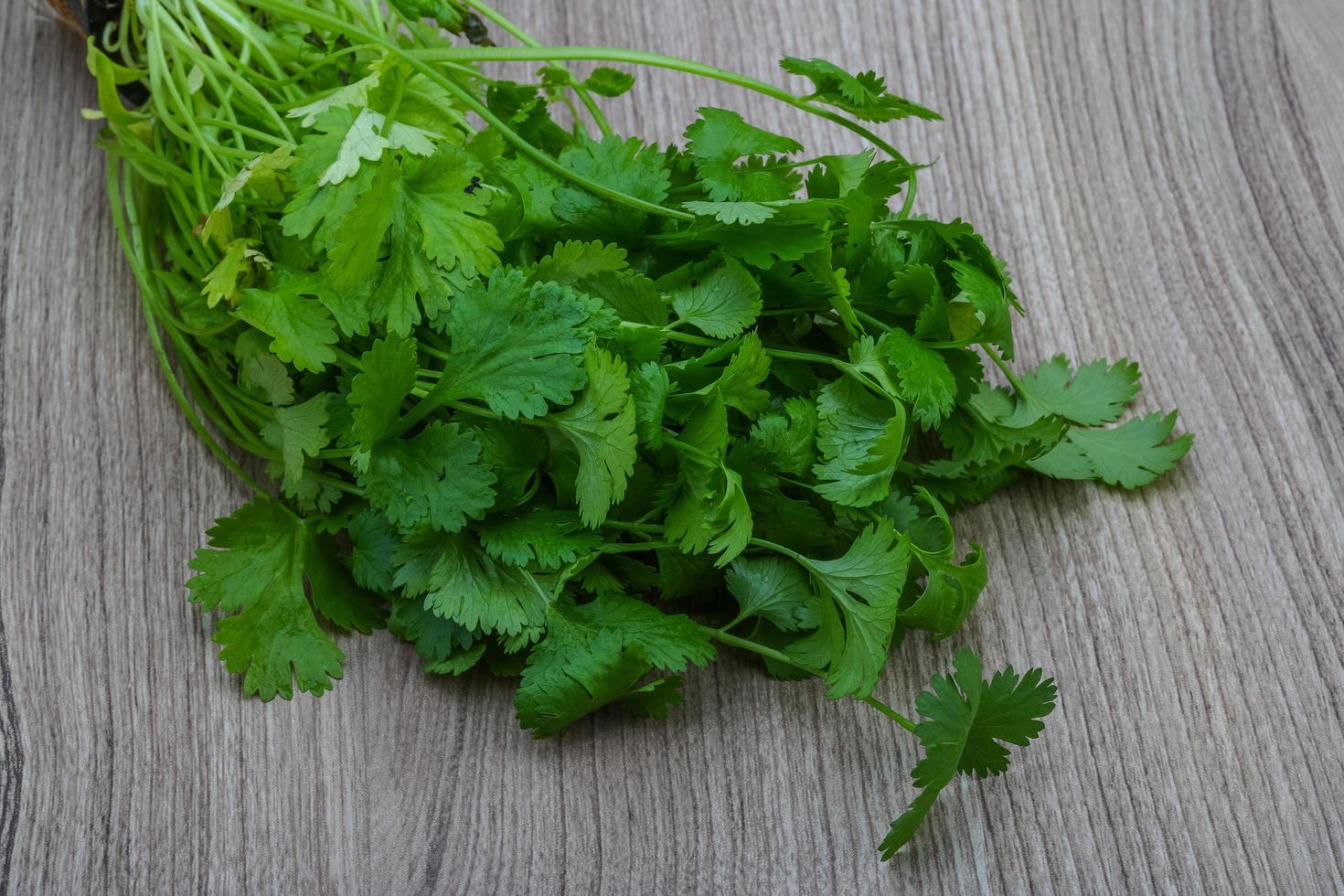 Coriander leaves on wooden background photo