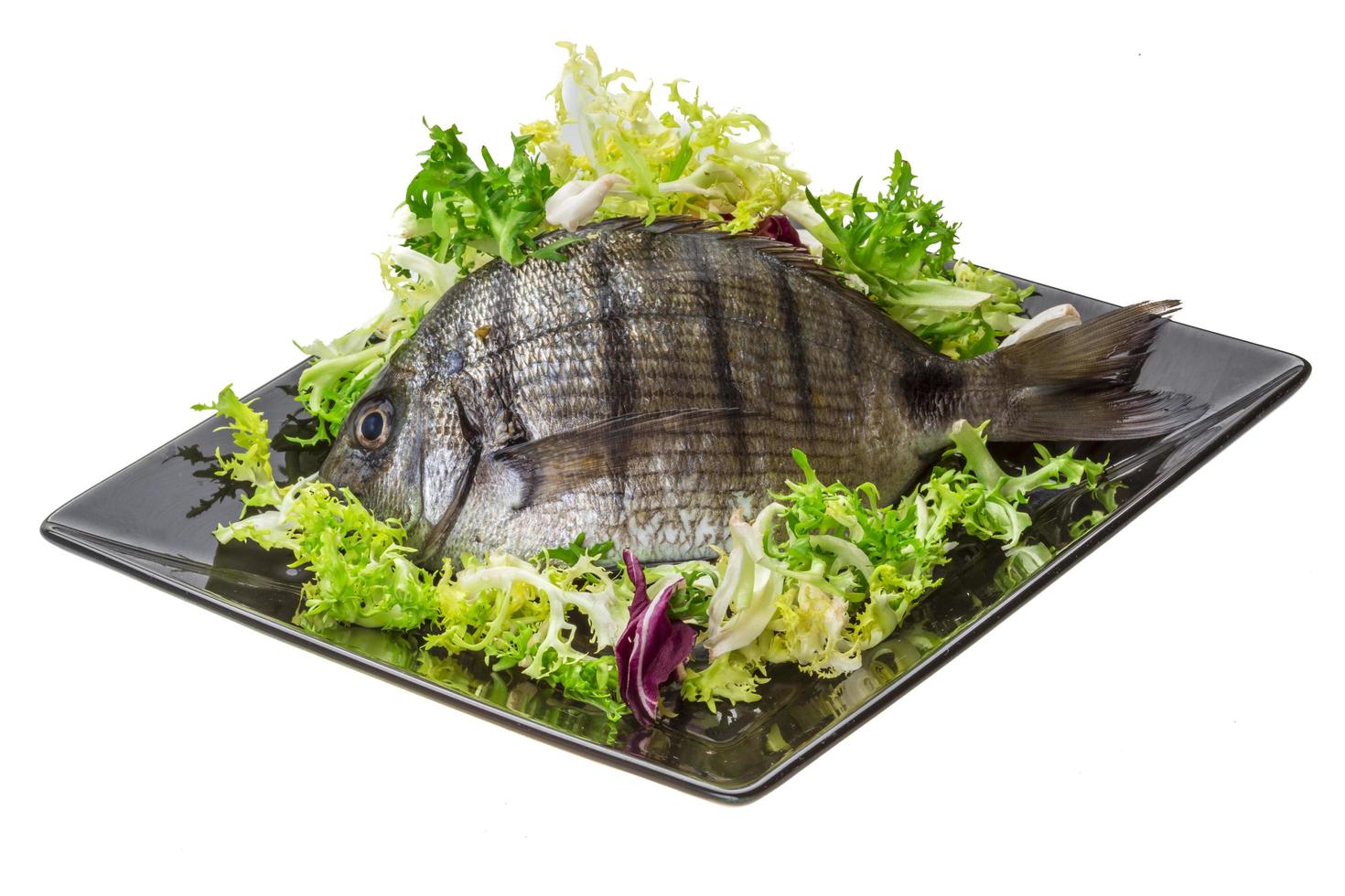 Raw Tilapia view photo