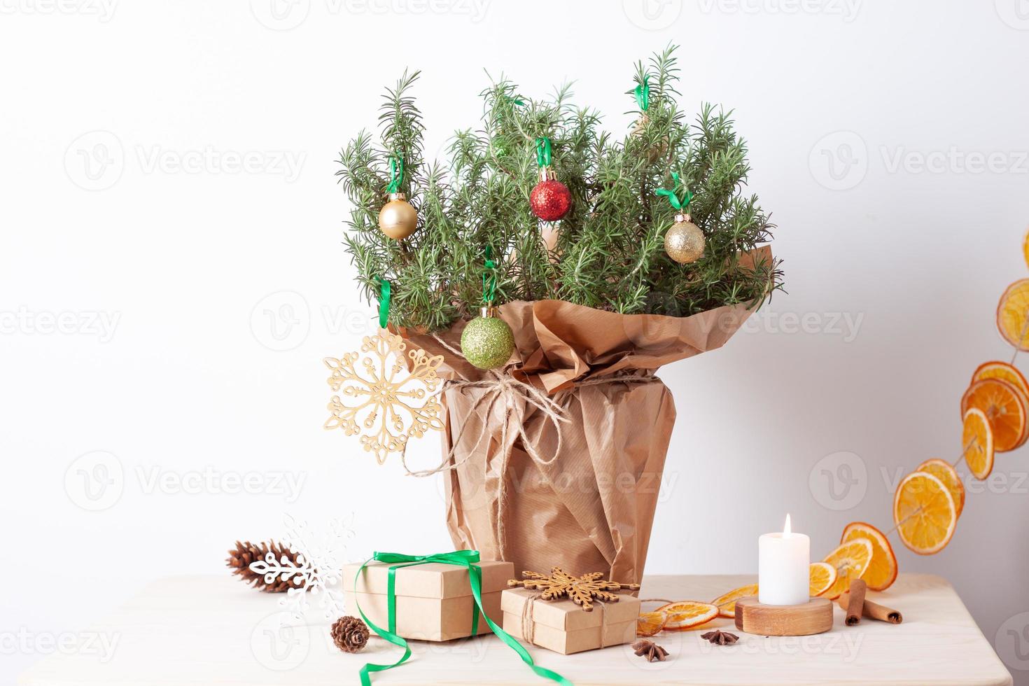 Zero waste Christmas natural decoration with rosemary as alternative Christmas tree on white background. Close up, copy space photo