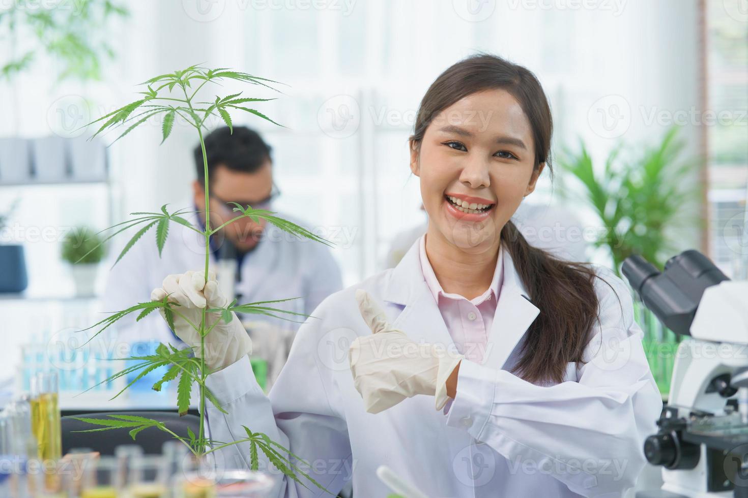 Happy Asian woman professor scientist smile looking show cannabis leaves. photo