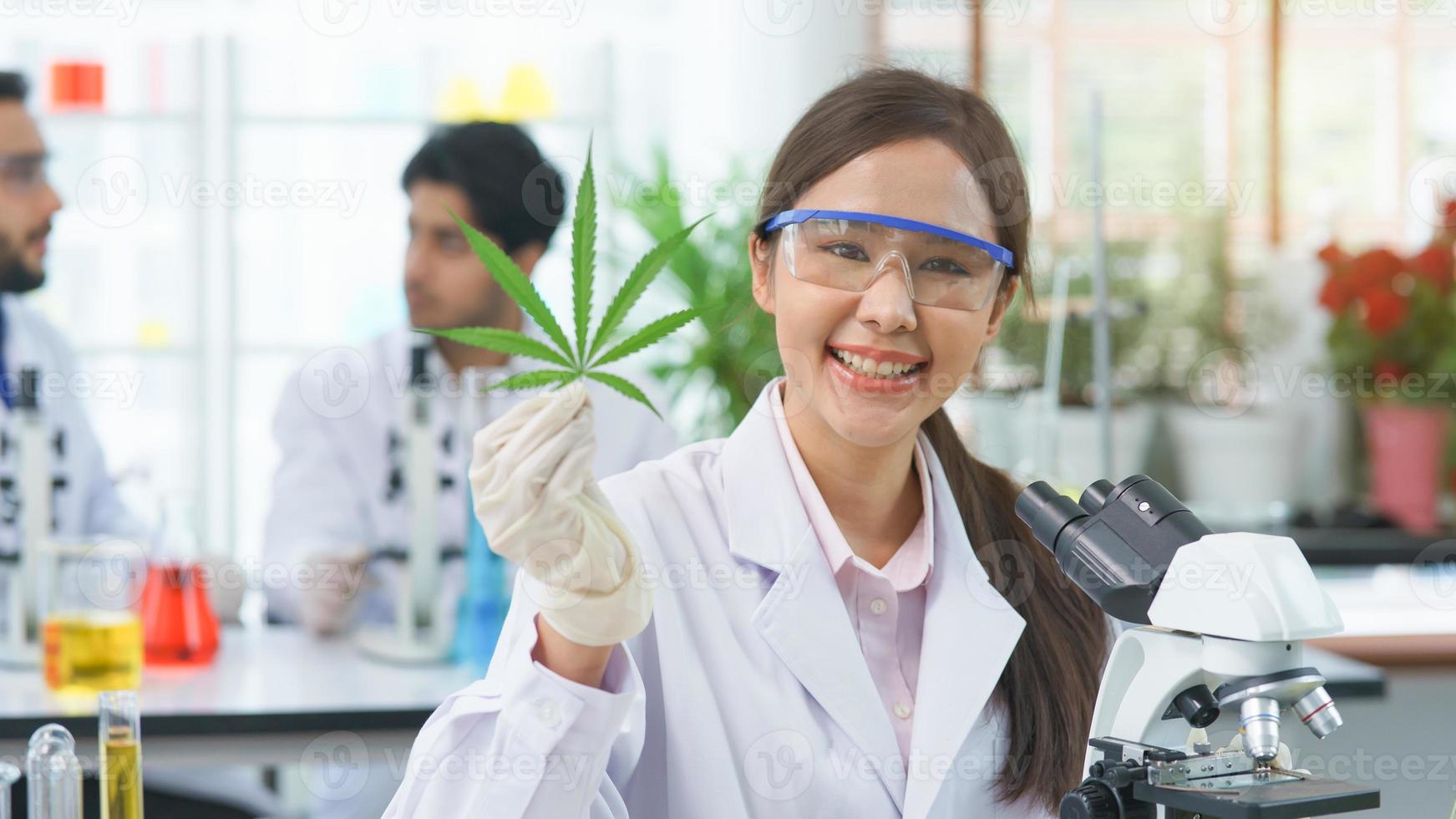 Happy Asian woman scientist smile looking show cannabis leaves research cannabis alternative chemical extract in Farm Agro lab, pharmacist look microscope herb leaf ganja alternative medicine legal photo