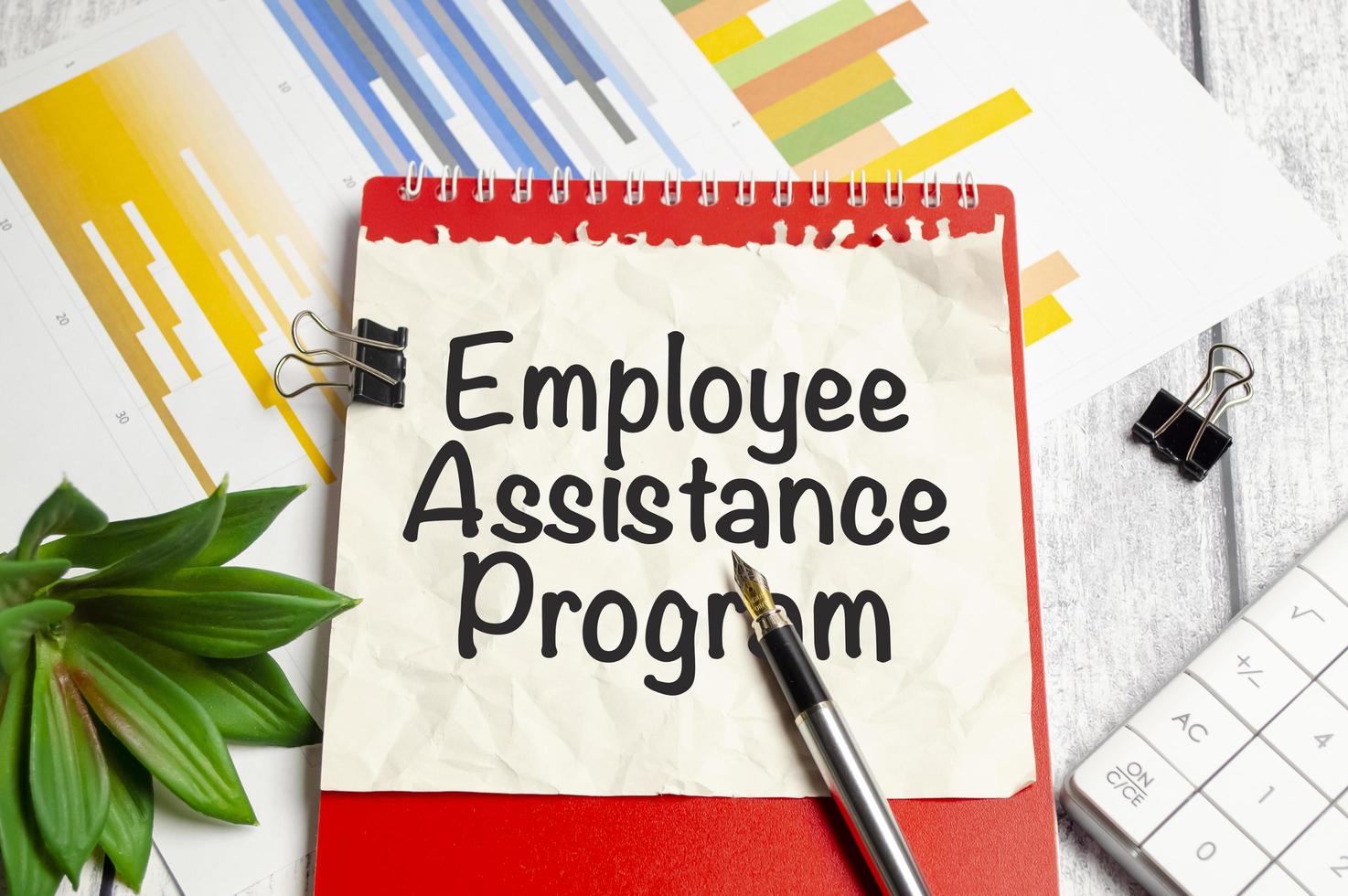 Text EAP Employee Assistance Program text written on red notepad and charts photo