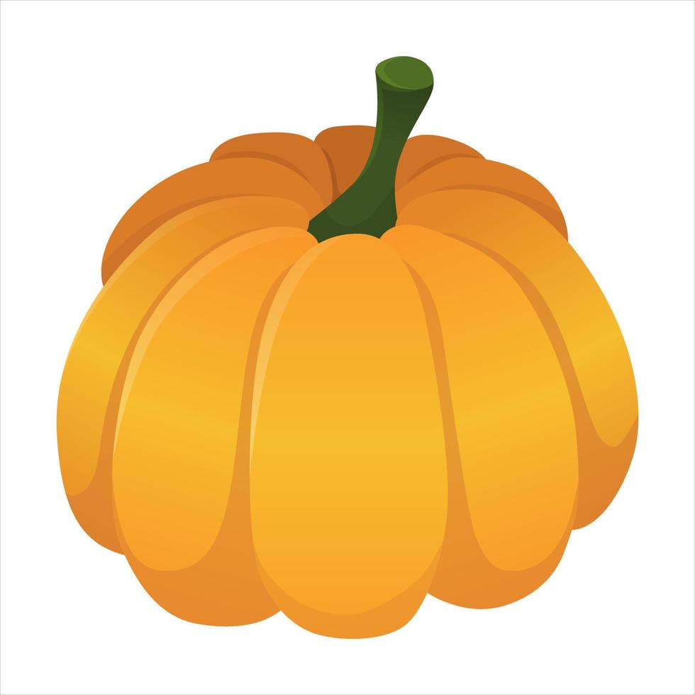 Big orange pumpkin for halloween. vector