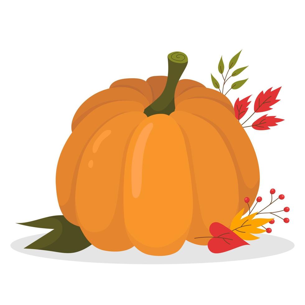 Big orange pumpkin. Harvest. Colorful leaves. vector