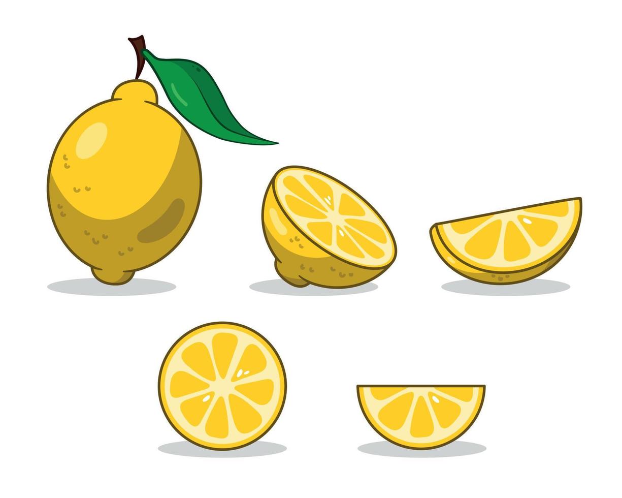 Lemon set. Sliced lemon. Lemon slices. vector