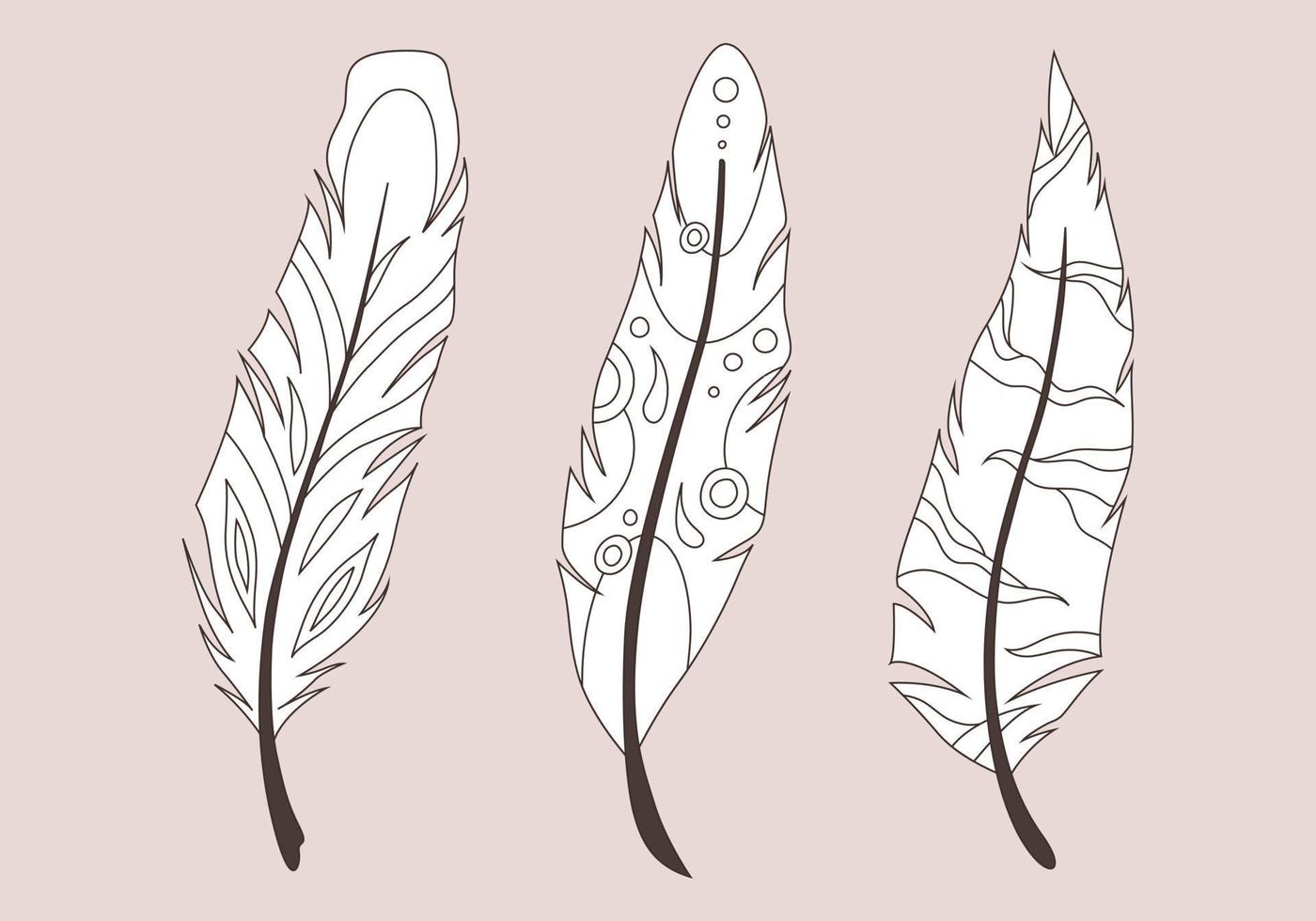 Vintage feathers. Black and white. vector