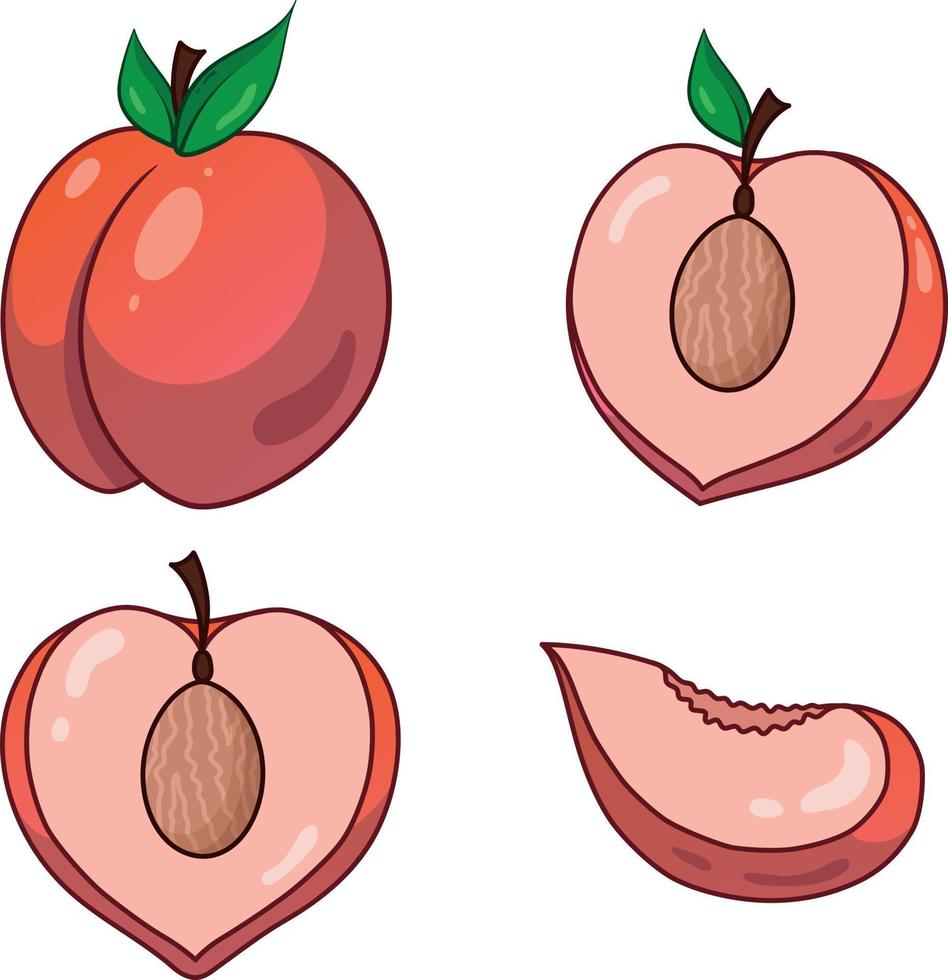 Peach set. Sliced peach. Peach slices. vector