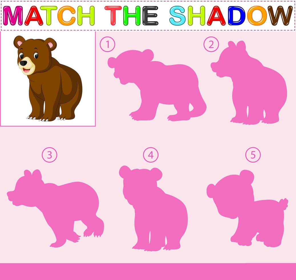 Find the correct shadow of the bear vector