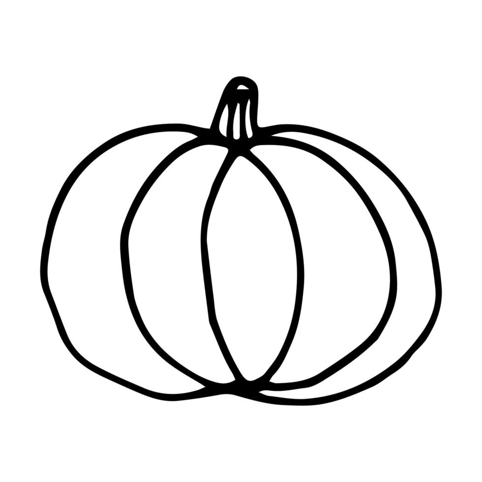 ilustración de vector de estilo de garabato de calabaza aislado sobre fondo blanco. vegetales dibujados a mano