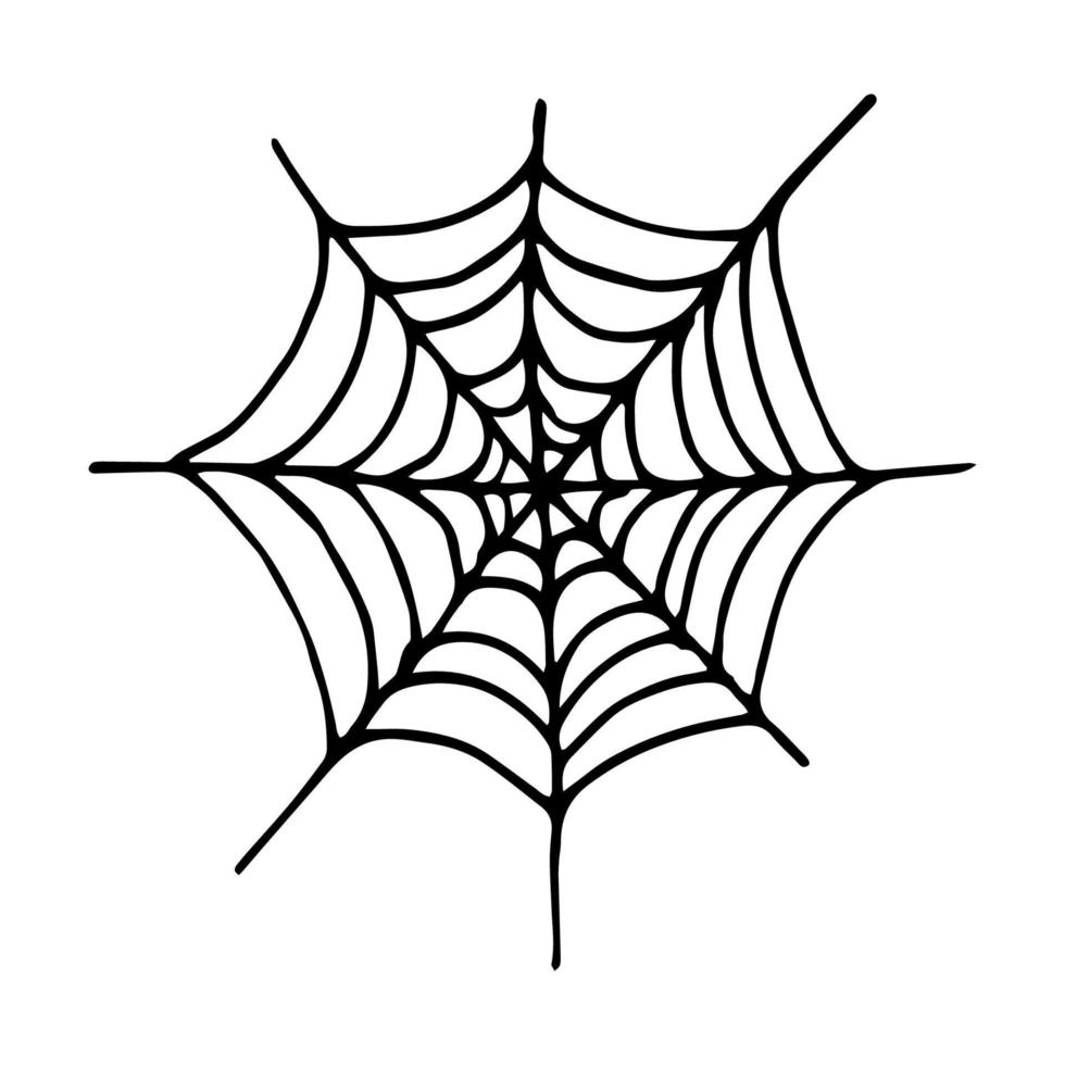 Spider web doodle vector graphic isolated on white