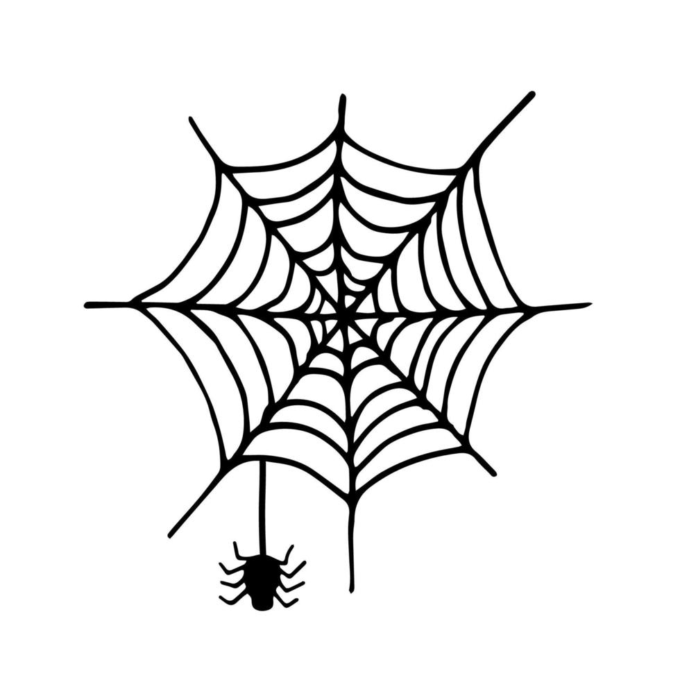 Spider and cobweb doodle vector illustration isolated on white