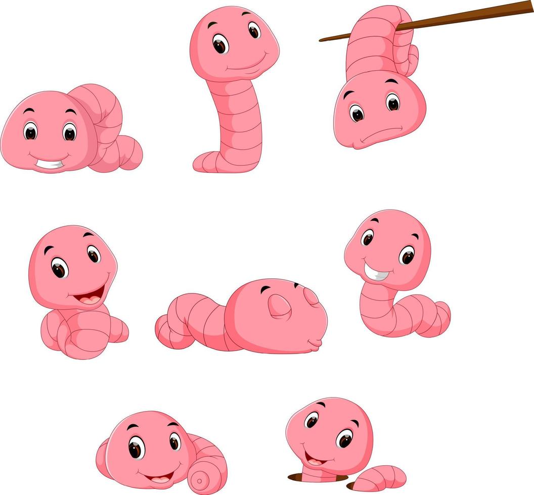 a group of worm on a white background vector