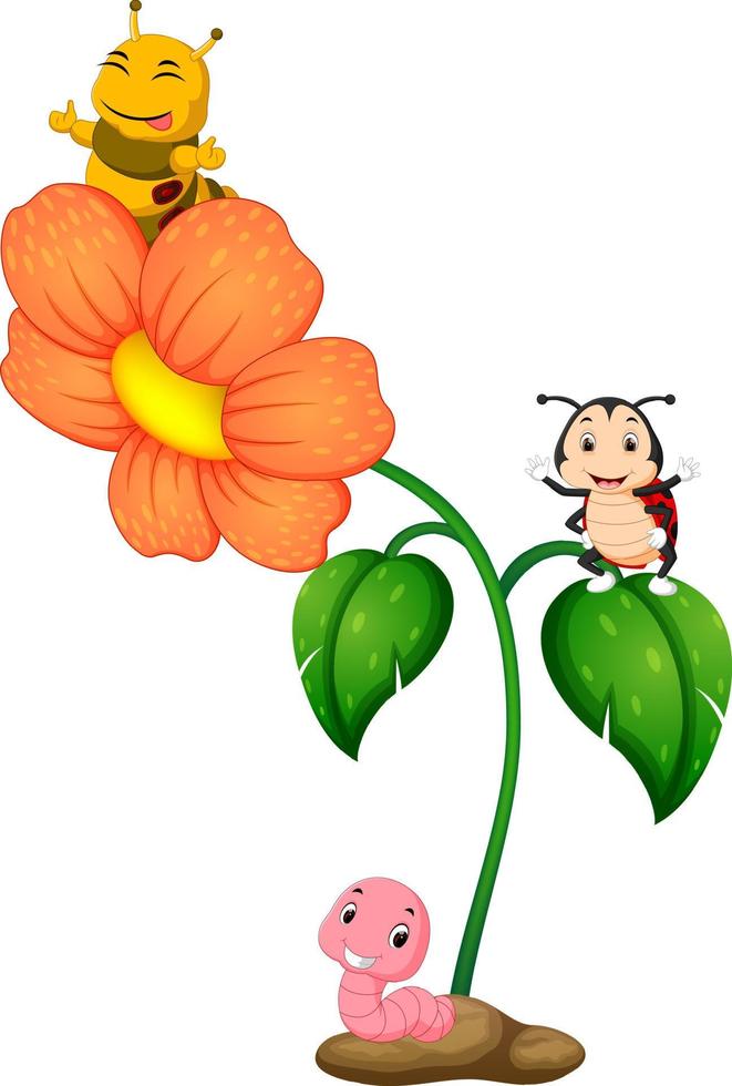 three insect over flower vector