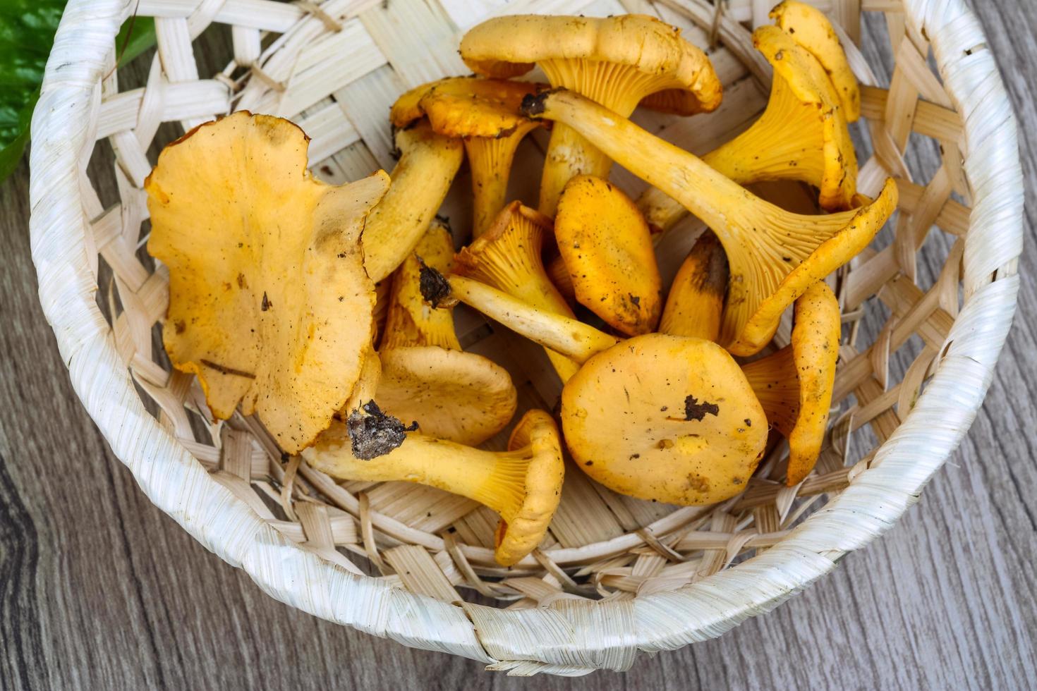 Chanterelle in a basket on wooden background photo