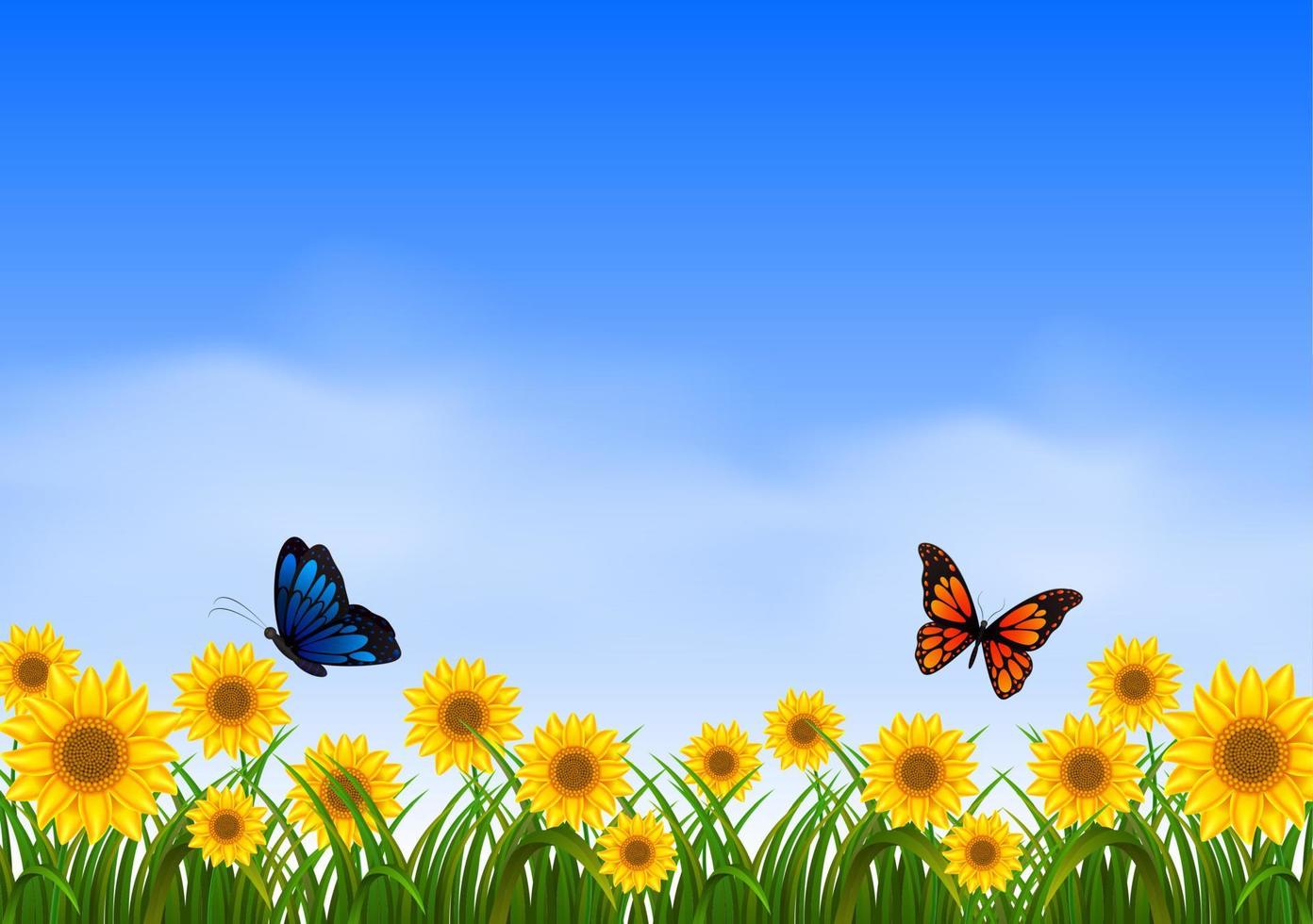 Two butterfly flying in sunflower garden vector