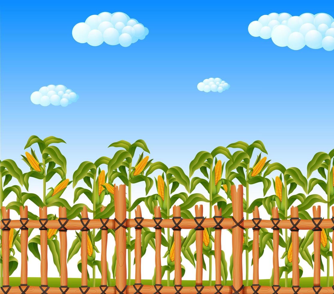 young green corn field in agricultural garden vector