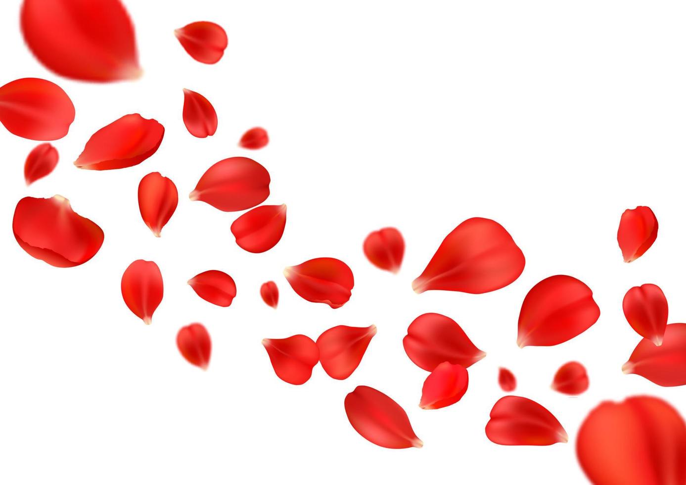 Flying rose petals romantic Valentine background vector