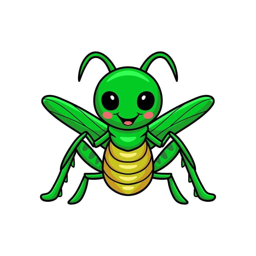 lindo pequeño mantis dibujos animados posando vector