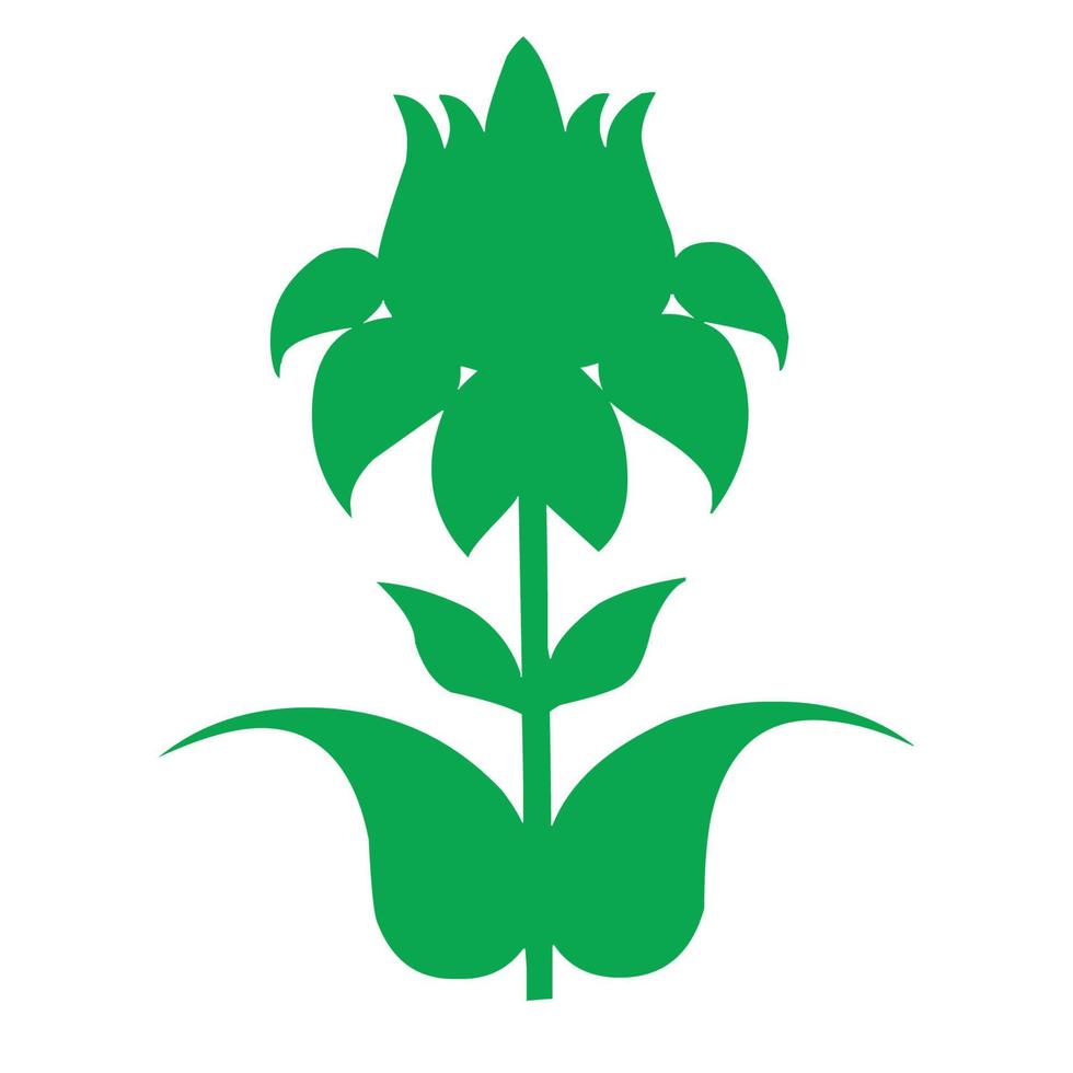 green leaf isolated on white baground vector design