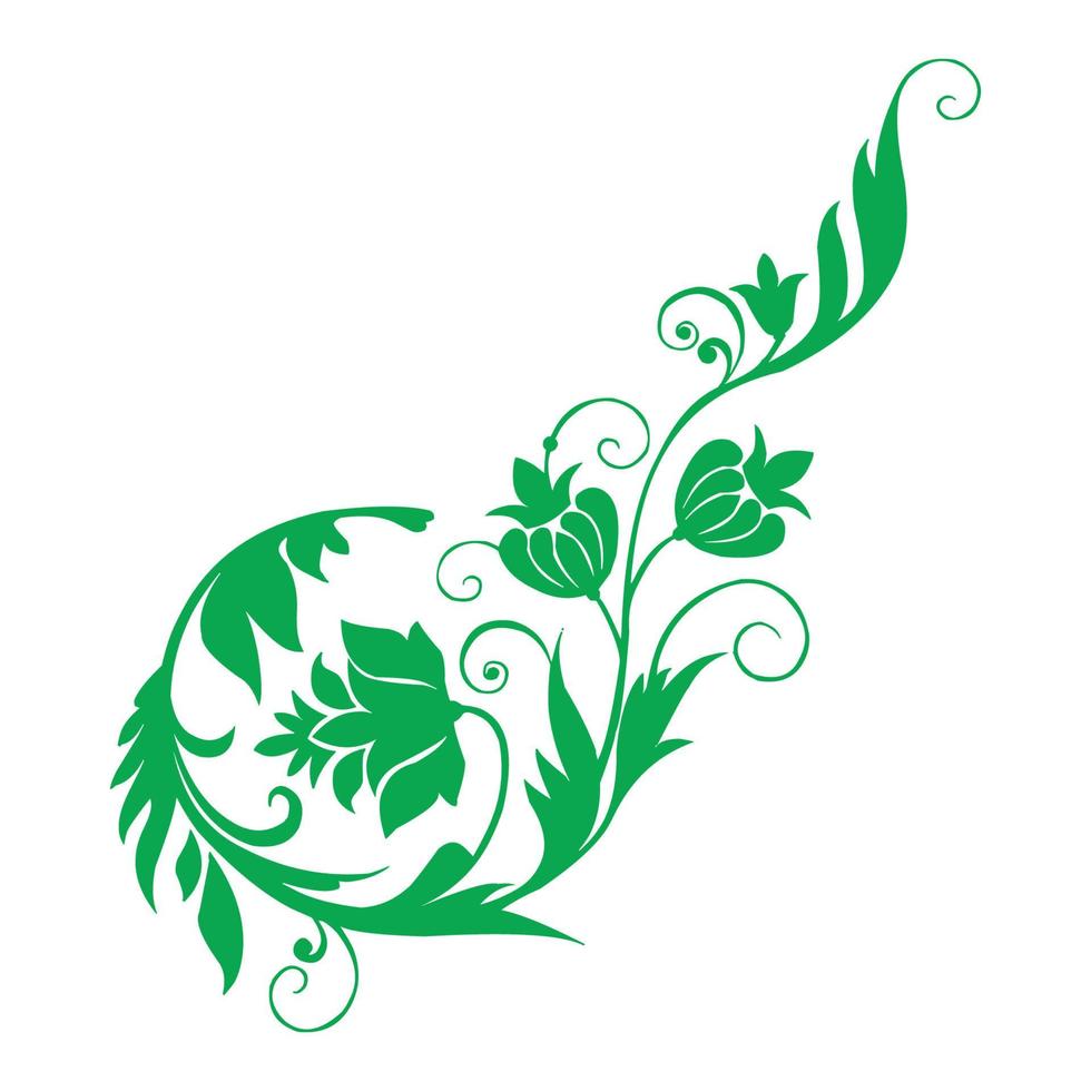 Flower Illustration and Pattern baground vector design