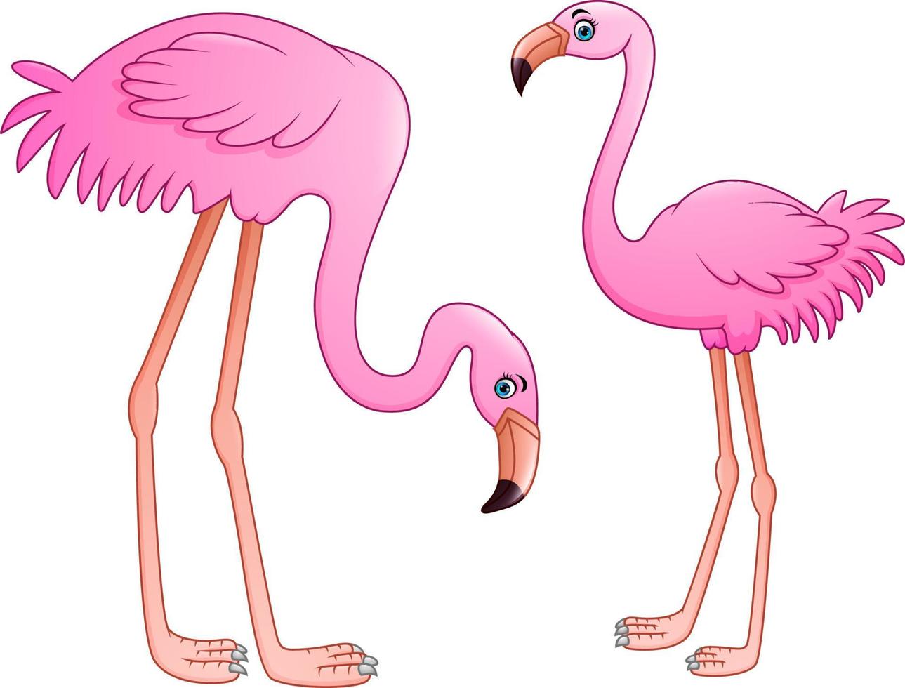 Cartoon two pink flamingo on white background vector