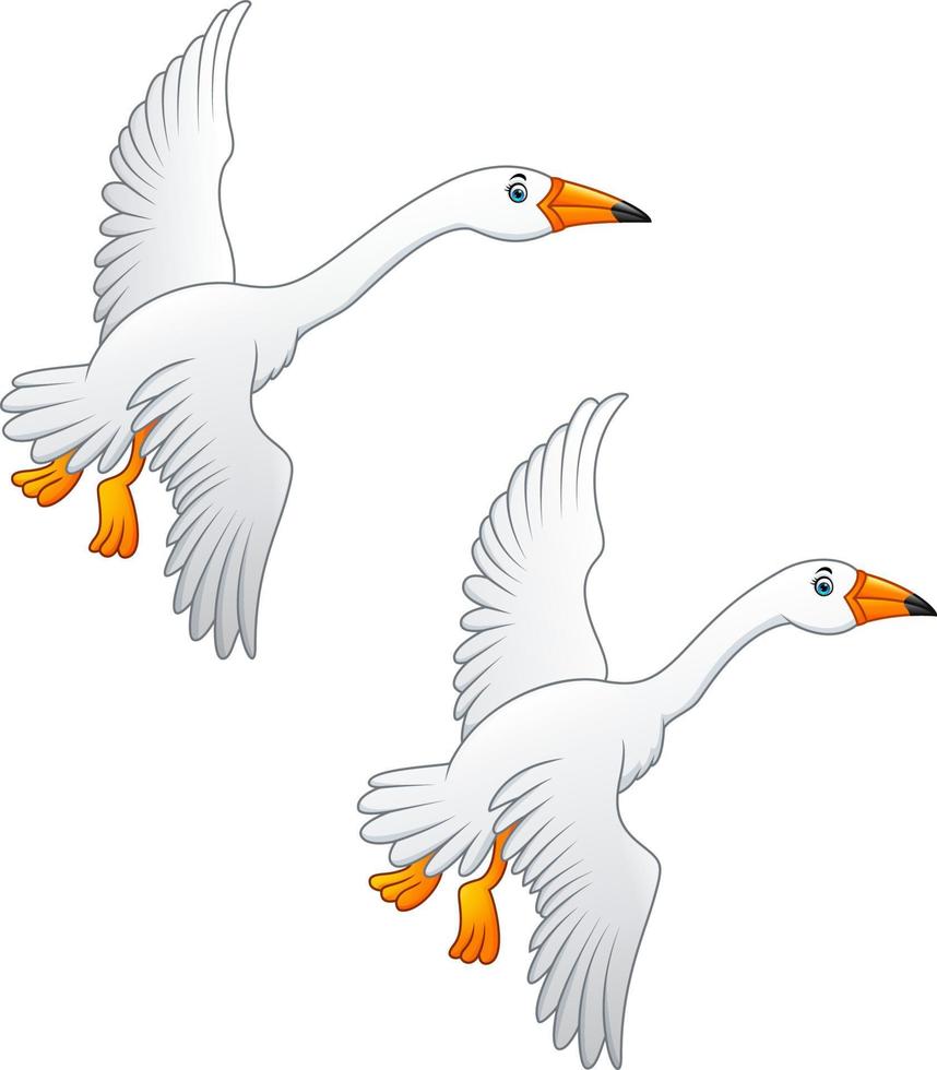 Flying swan high quality color vector