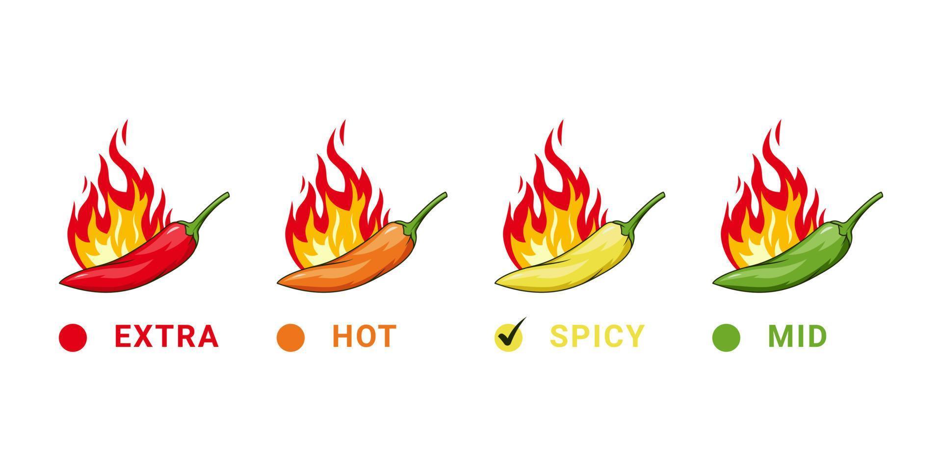 Spicy level chili illustration vector