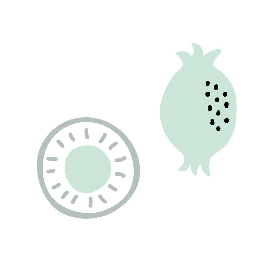 kiwi fruta entera y medio icono aislado sobre fondo blanco. fruta de dibujos animados de ilustración vectorial para el diseño de pegatinas, impresiones y logotipos. vector