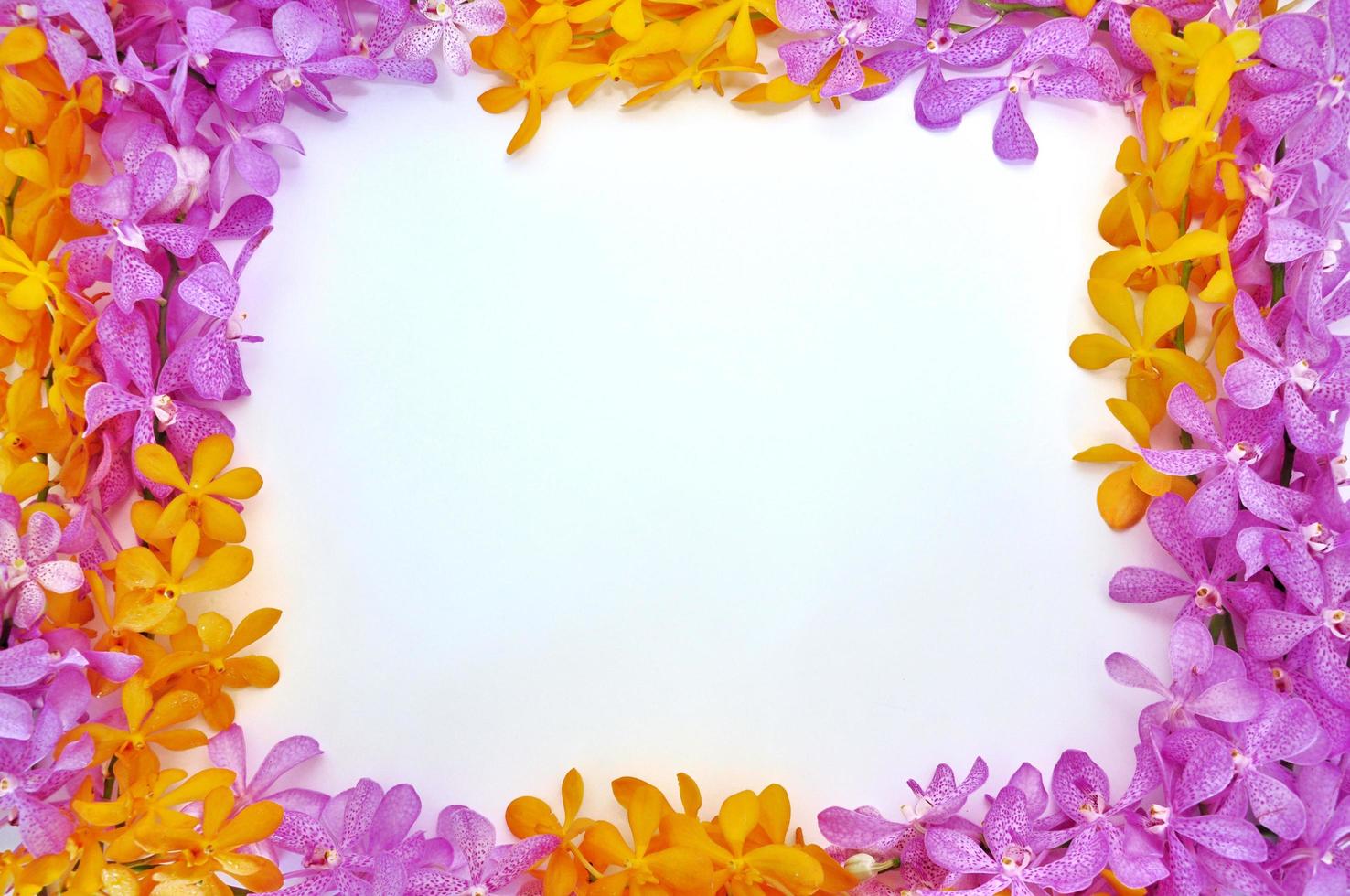 Fresh orchids set in frame for Valentine day isolated with white background. photo