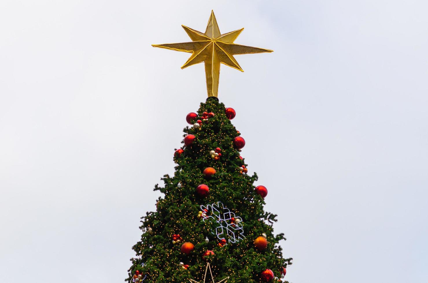 Star ornament puts on the top of big Christmas tree with colorful