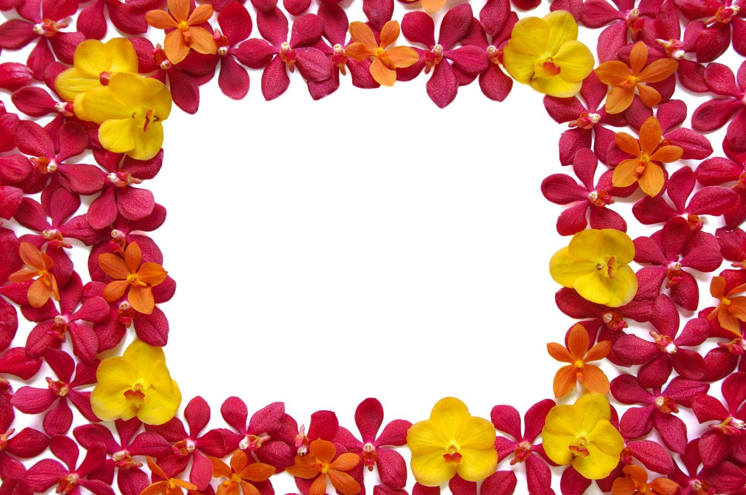 Fresh orchids set in frame for Valentine day isolated with white background. photo