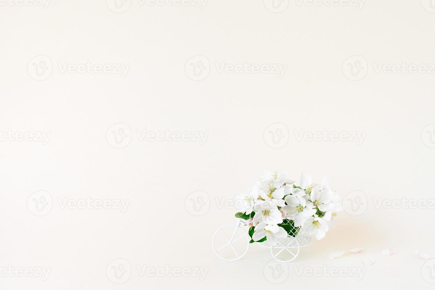 un juguete de bicicleta con flores blancas sobre un fondo blanco. el concepto de celebración, pancarta. copie el espacio. el concepto del comienzo de la primavera y las vacaciones. foto