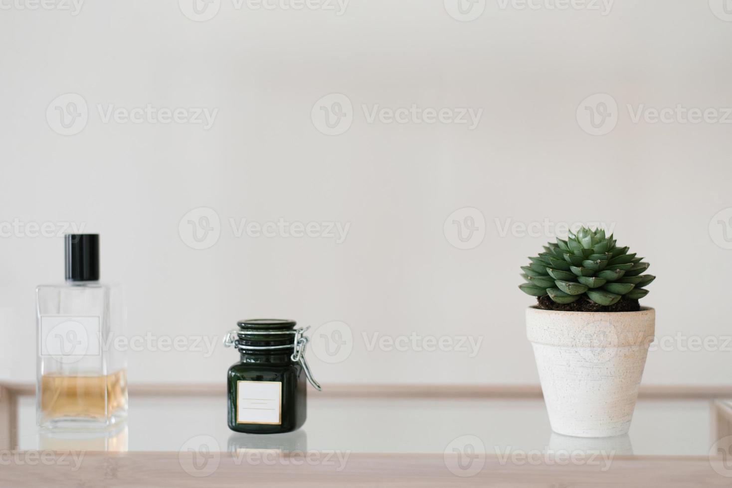 A succulent in a white ceramic pot and a candle in the decor of the room on the shelf photo