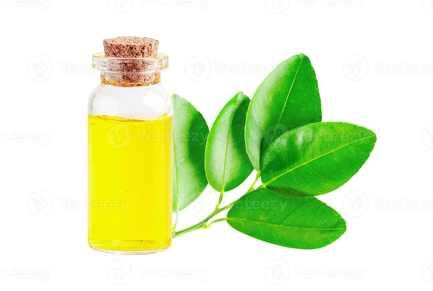 Essential Oil, Alternative medicine herbal organic, mineral, drug with herb leaf natural supplements for healthy good life. photo
