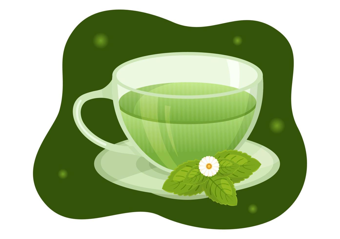 té de hierbas con hojas de manzanilla de bebida saludable verde para aumentar la resistencia en la plantilla ilustración de fondo plano de dibujos animados dibujados a mano vector