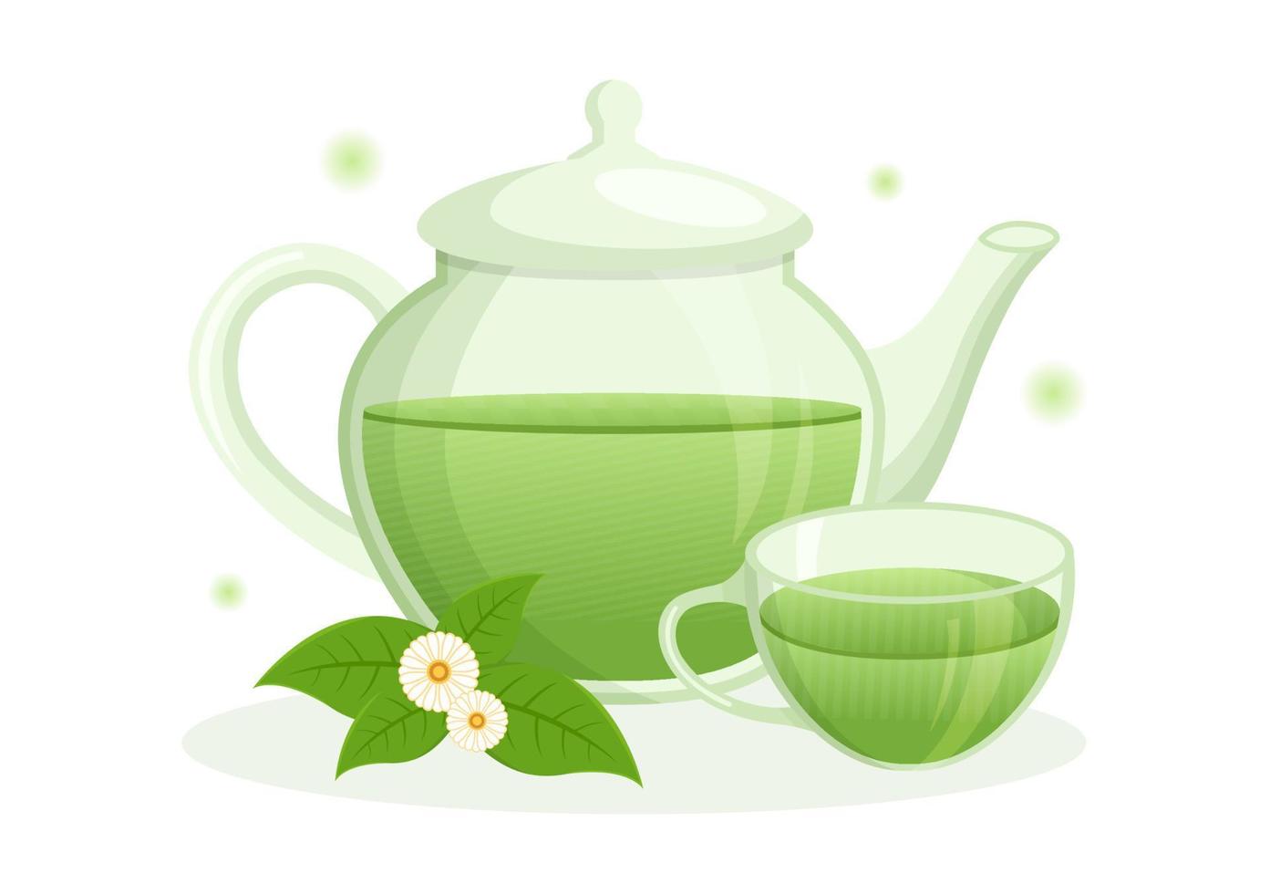 té de hierbas con hojas de manzanilla de bebida saludable verde para aumentar la resistencia en la plantilla ilustración de fondo plano de dibujos animados dibujados a mano vector