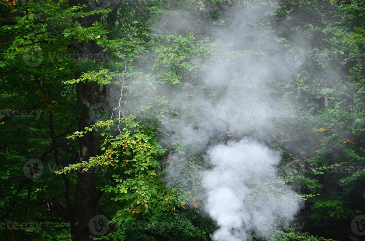 White smoke spreads over the background of forest trees photo