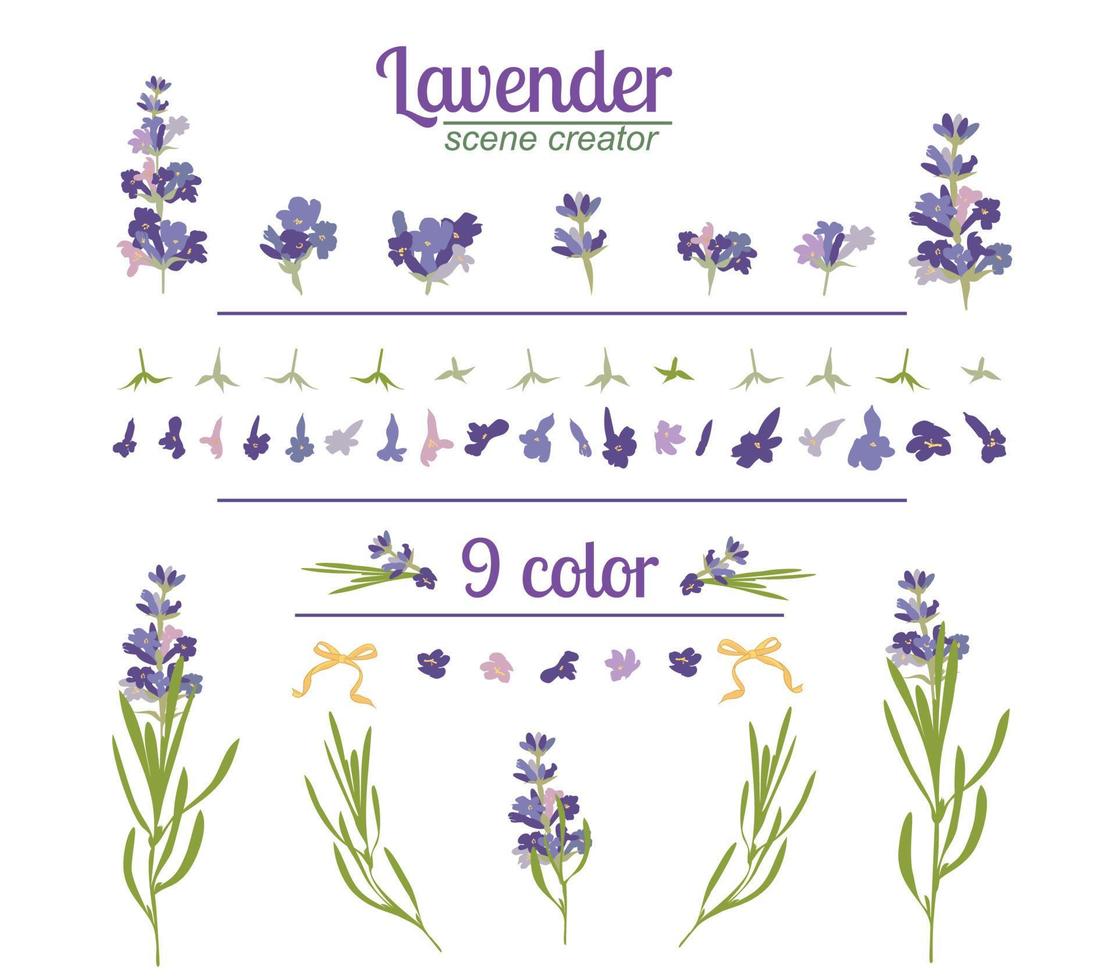 flor de lavanda sobre fondo blanco. Ilustración de vector vintage colorido