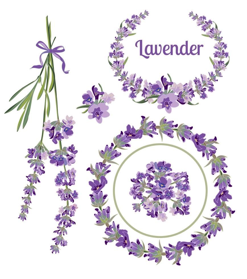 establecer marcos festivos y elementos con flores de lavanda para tarjetas de felicitación. ilustración botánica. vector