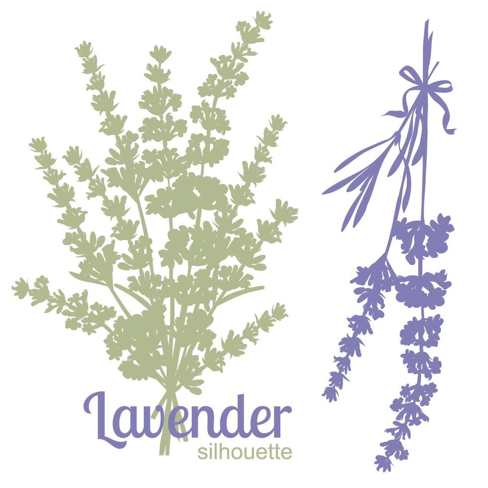 Set of silhouettes of lavender flowers vector