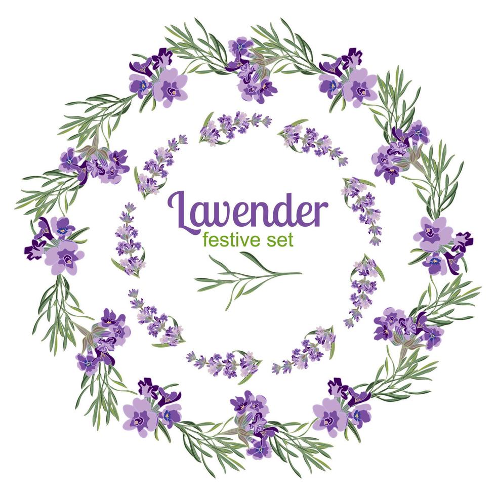 Set festive frames and elements with Lavender flowers for greeting card. Botanical illustration. vector