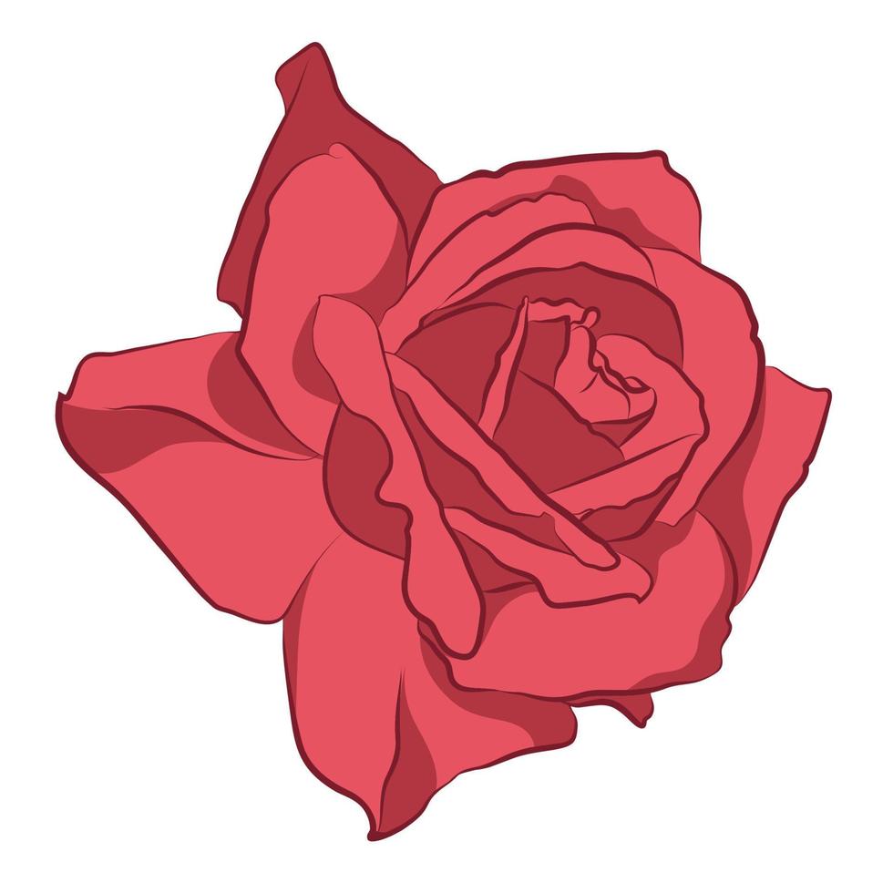 hermosa rosa rosa, aislada sobre fondo blanco. silueta botánica de flor. estilización plana color vintage vector