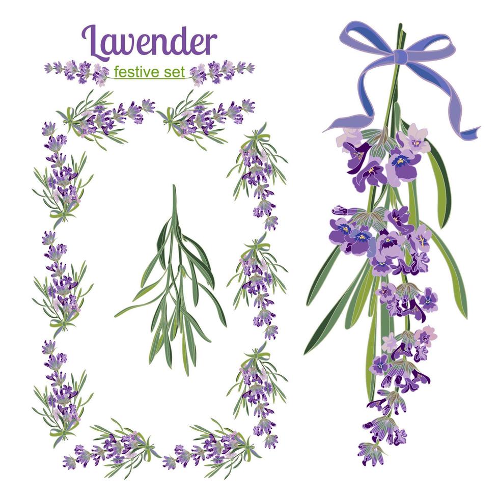 establecer marcos festivos y elementos con flores de lavanda para tarjetas de felicitación. ilustración botánica. vector